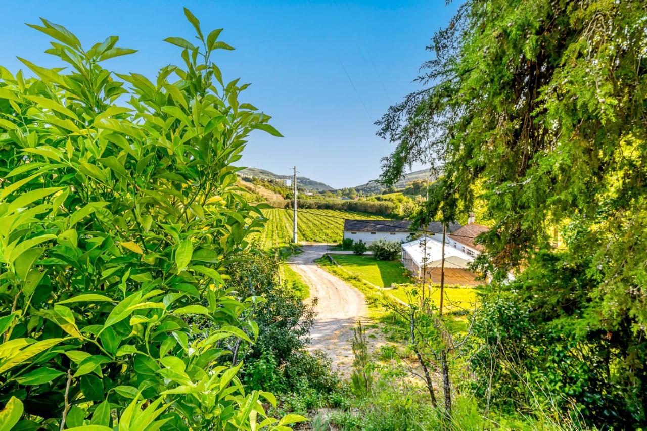 Quinta Do Boicao Villa Lisbon Exterior photo