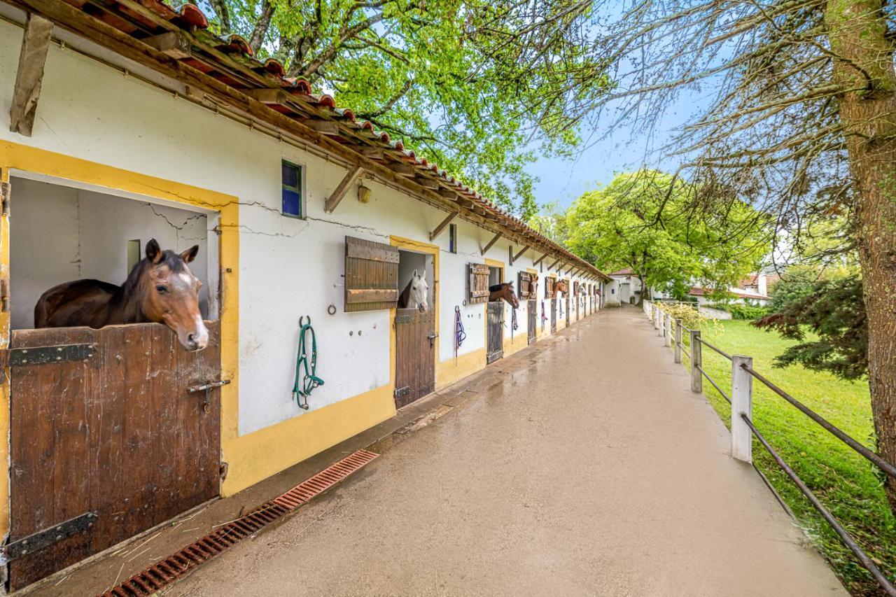 Quinta Do Boicao Villa Lisbon Exterior photo